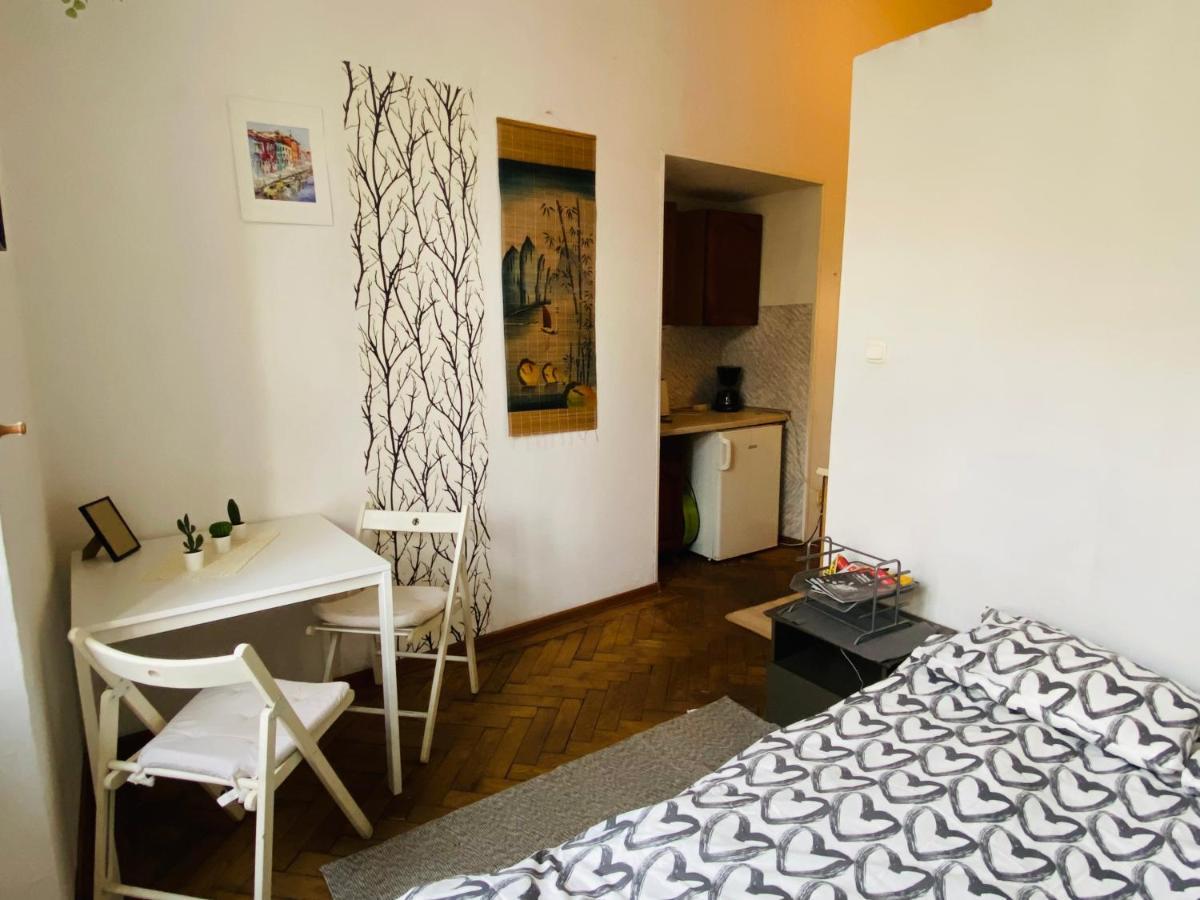 Historic Apartment Krakkó Kültér fotó